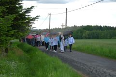 Dni-krzyzowe-2024-06