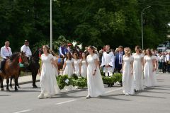 Prymicje-Msza-Swieta-2025-07