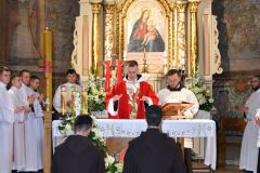 Prymicje-Msza-Swieta-2025-124