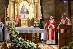 Prymicje-Msza-Swieta-2025-80